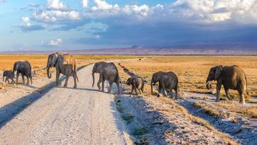 SAMBURU GAME RESERVE
