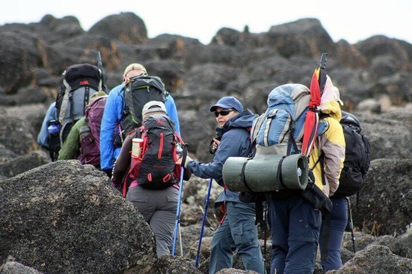 8 Days Best of Tanzania Safari