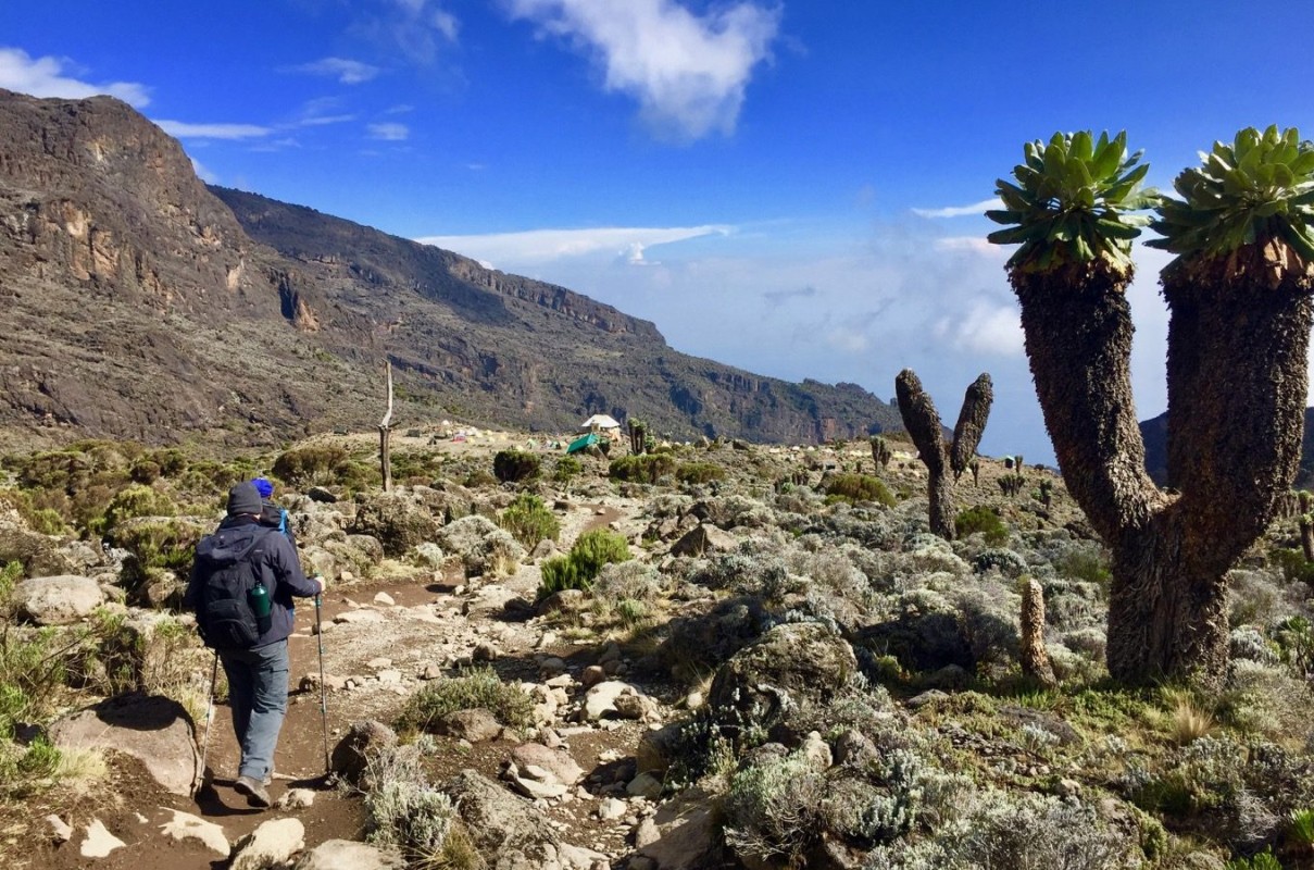 Mt-Kilimanjaro-machame-route